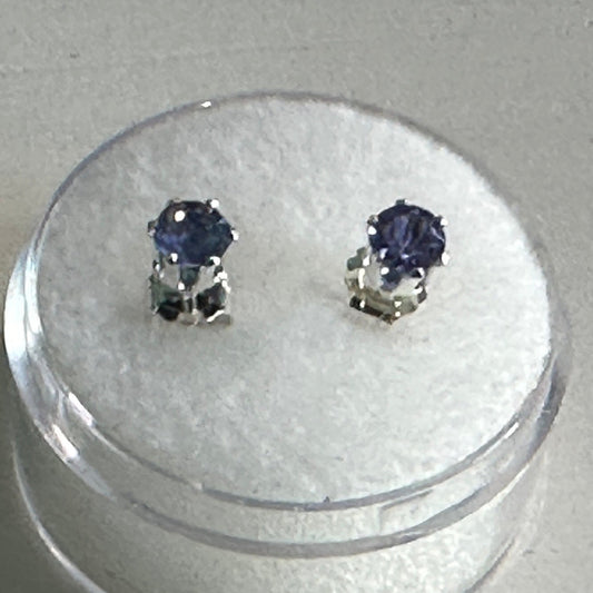 Beautiful Tanzanite Stud Earrings w/Secure 6 Prong Sterling Silver Settings (2/3 tcw)